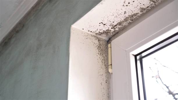 Water Damage Restoration in Hamilton Square, NJ