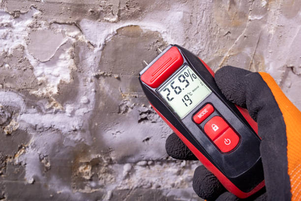Best Certified Mold Removal  in Hamilton Square, NJ