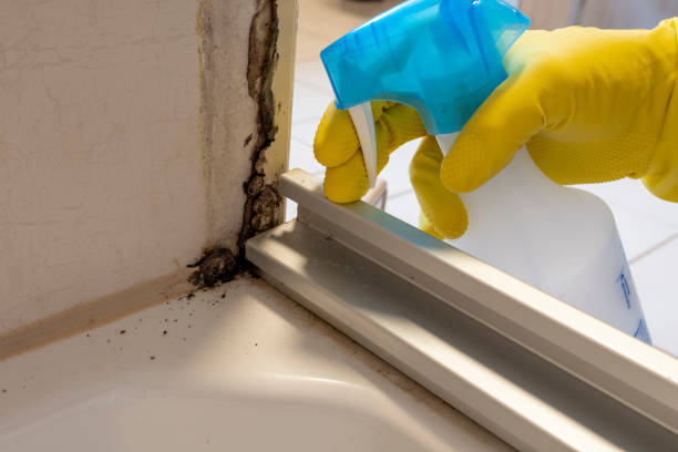 Best Emergency Mold Removal  in Hamilton Square, NJ