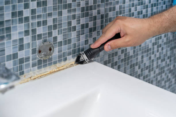 Best Mold Removal Company Near Me  in Hamilton Square, NJ