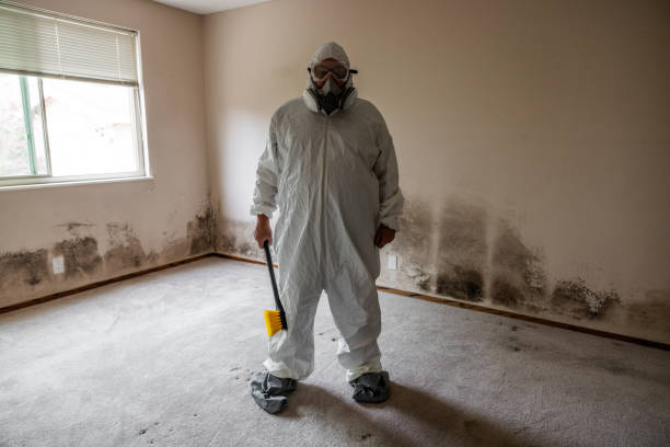 Best Home Mold Removal  in Hamilton Square, NJ